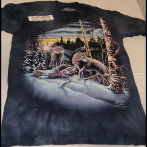 Kids small, The Mountain blue hidden images tshirt